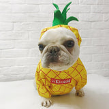Maxbell Pet Lovely Pineapple Transformed Dress Puppy Dog Cosplay Costumes M