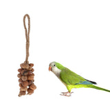 Max Pet Bird Bite Chew Toys Natural Nut String Hamster Swing Cage Accessories