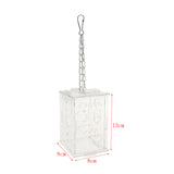 Maxbell Parrot Acrylic Foraging Toy Food Container Cage Hanging Chewing Toy Large