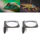 Max 2Pcs Suction Mini Worm Dish Reptile Gecko Ledge Feeder Corner Space Saving
