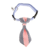 Maxbell Small pure and fresh and tie Blue S