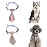 Maxbell Small pure and fresh and tie Blue S