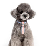 Maxbell Small pure and fresh and tie Blue S