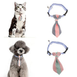 Maxbell Small pure and fresh and tie Blue S