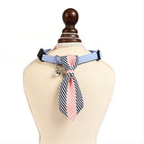 Maxbell Small pure and fresh and tie Blue S