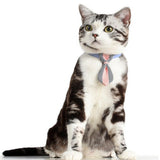 Maxbell Small pure and fresh and tie Blue M