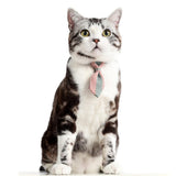 Maxbell Small pure and fresh and tie Green S