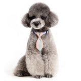 Maxbell Small pure and fresh and tie Green S
