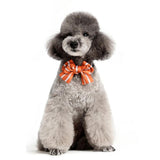 Maxbell Small Medium Dogs Adjustable Collar with Bowtie, Daily Dog Grooming Costumes Orange S