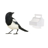 Maxbell Bird Cage Feeding Box Feeder Food Container Bird Feeders Cage Accessories
