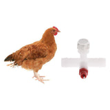 Maxbell 100 Pcs Chicken Spring Drinking Fountain Waterer Automatic Water Feeder White