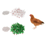 Maxbell 100 Pcs Chicken Spring Drinking Fountain Waterer Automatic Water Feeder White