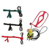 Max Parrot Bird Leash Outdoor Adjustable Harness Training Rope Green S