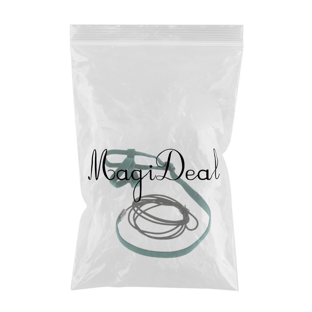 Max Parrot Bird Leash Outdoor Adjustable Harness Training Rope Green S