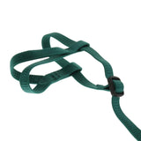 Max Parrot Bird Leash Outdoor Adjustable Harness Training Rope Green S