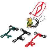 Max Parrot Bird Leash Outdoor Adjustable Harness Training Rope Green S