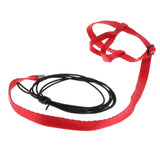Max Parrot Bird Leash Outdoor Adjustable Harness Training Rope Random