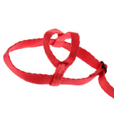 Max Parrot Bird Leash Outdoor Adjustable Harness Training Rope Random