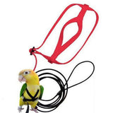 Max Parrot Bird Leash Outdoor Adjustable Harness Training Rope Random