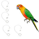 Maxbell Parrot Stainless Steel Eight-ring Anklet Pet Bird Cockatiel Foot Chain 6