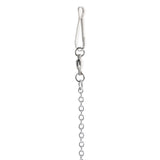 Maxbell Parrot Stainless Steel Eight-ring Anklet Pet Bird Cockatiel Foot Chain 6