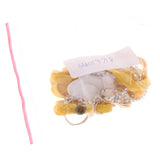 Maxbell Angel Wings Adjustable Reptile Harness Leash for Lizard Outdoor Walk Yellow