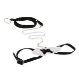 Maxbell Angel Wings Adjustable Reptile Harness Leash for Lizard Outdoor Walk Black