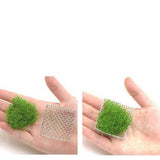 Max 10 Pcs Stainless Steel Decorative Aquatic Moss Mesh for Aquarium Plants