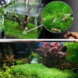 Max 10 Pcs Stainless Steel Decorative Aquatic Moss Mesh for Aquarium Plants
