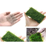 Max 10 Pcs Stainless Steel Decorative Aquatic Moss Mesh for Aquarium Plants