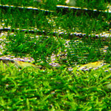 Max 10 Pcs Stainless Steel Decorative Aquatic Moss Mesh for Aquarium Plants