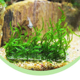 Max 10 Pcs Stainless Steel Decorative Aquatic Moss Mesh for Aquarium Plants
