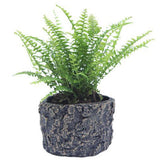 Maxbell Resin Reptile Turtle Tank Aquarium Fish Tank Planter Flowerpot Ornament