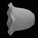 Maxbell E27 Clear Glass Ceiling Fan Light Chandelier Wall Sconce Light Shades  1