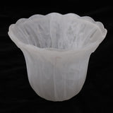 Maxbell E27 Clear Glass Ceiling Fan Light Chandelier Wall Sconce Light Shades  3