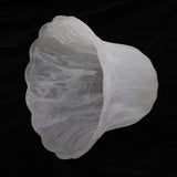 Maxbell E27 Clear Glass Ceiling Fan Light Chandelier Wall Sconce Light Shades  3