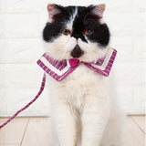 Maxbell Pet Dog and Cat Strap Rope, Puppy Kitten Bow Tie Collar Leash M Red Stripe