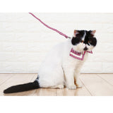 Maxbell Pet Dog and Cat Strap Rope, Puppy Kitten Bow Tie Collar Leash M Black Plaid