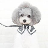 Maxbell Pet Dog and Cat Strap Rope, Puppy Kitten Bow Tie Collar Leash M Black Plaid