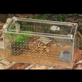 Maxbell Reptile Terrarium Feeding Box Amphibian Breeding Box for Spide Lizards Frogs