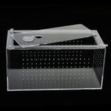 Maxbell Reptile Terrarium Feeding Box Amphibian Breeding Box for Spide Lizards Frogs