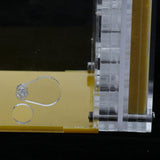 Maxbell Ant House Nest Insect Cage Farm Feeding Moisture Plastic Display Square Box