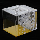 Maxbell Ant House Nest Insect Cage Farm Feeding Moisture Plastic Display Square Box