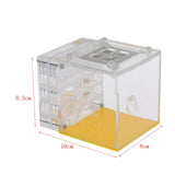 Maxbell Ant House Nest Insect Cage Farm Feeding Moisture Plastic Display Square Box
