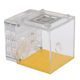 Maxbell Ant House Nest Insect Cage Farm Feeding Moisture Plastic Display Square Box