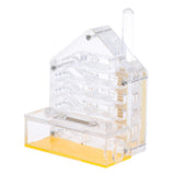 Maxbell Clear Ant Feed Farm Formicarium Box Moisturizing 10x6x12cm