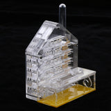 Maxbell Clear Ant Feed Farm Formicarium Box Moisturizing 10x6x12cm