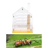 Maxbell Clear Ant Feed Farm Formicarium Box Moisturizing 10x6x12cm