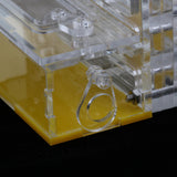 Maxbell Clear Ant Feed Farm Formicarium Box Moisturizing 10x6x12cm