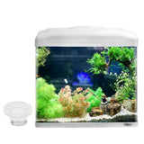 Maxbell 5pcs Artificial Coral Plant Holder Aquarium Fish Tank Decorations